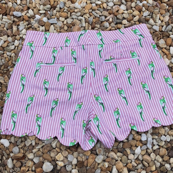 Crown & Ivy size 8 shorts - Picture 5 of 5